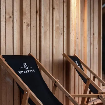 Apartment Exklusive Mit Eigener Sauna By Interhome *